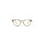 H Light Tortoise