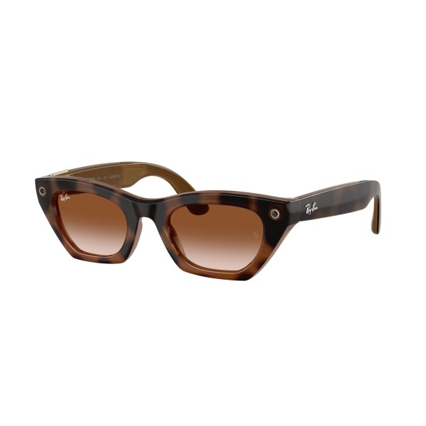 Ray-Ban | Meta Zena ...