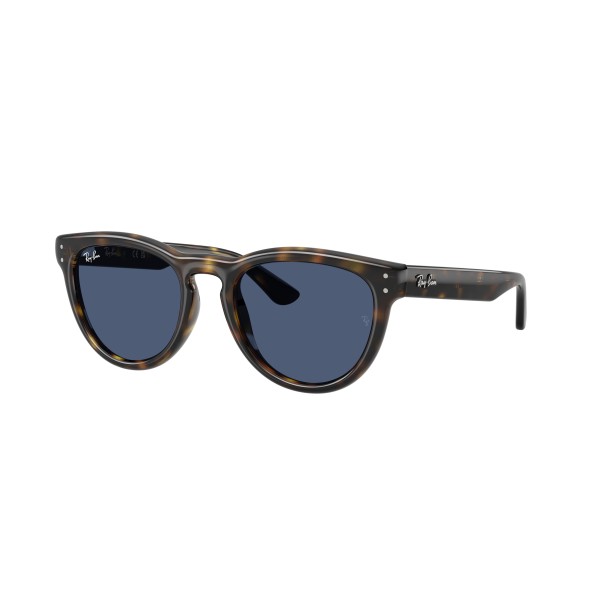 Ray-Ban | RB2237