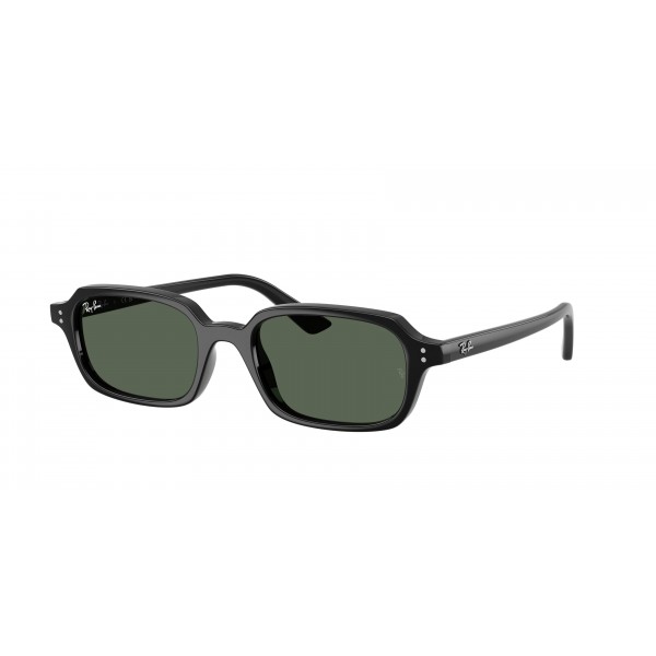 Ray-Ban | RB4455